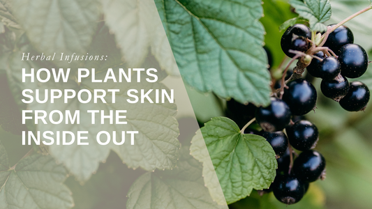 Herbal Infusions: How Plants Support Skin from the Inside Out
